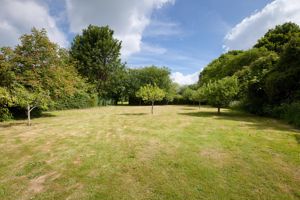 Garden- click for photo gallery